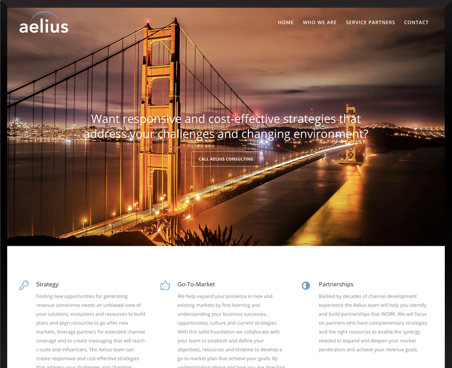 WordPress Aelius Consulting