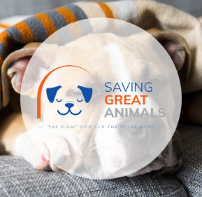 savinggreatanimals.org